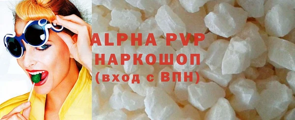 прущие грибы Бронницы