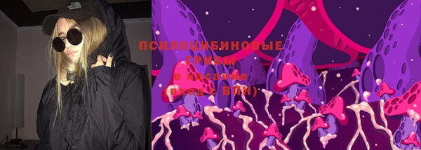 прущие грибы Бронницы