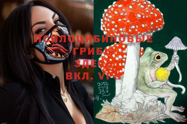 прущие грибы Бронницы
