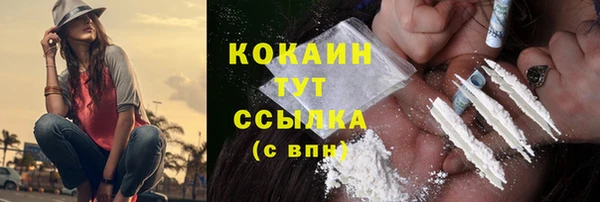 прущие грибы Бронницы