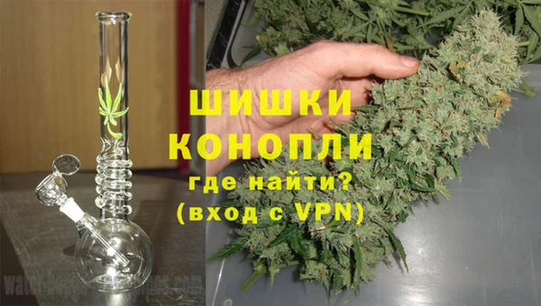прущие грибы Бронницы