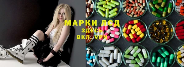 гидра Богородск