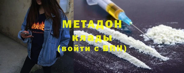 прущие грибы Бронницы