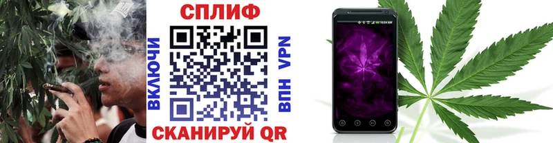 Шишки марихуана марихуана  Губкинский 
